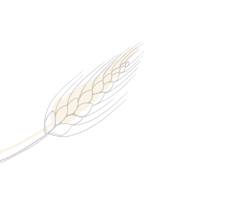 spigagialla
